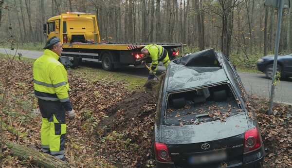 Avensis po zderzeniu z łosiem i problemy z domkiem holenderskim